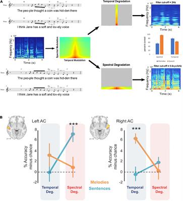 Hemispheric asymmetries for music and speech: Spectrotemporal modulations and top-down influences